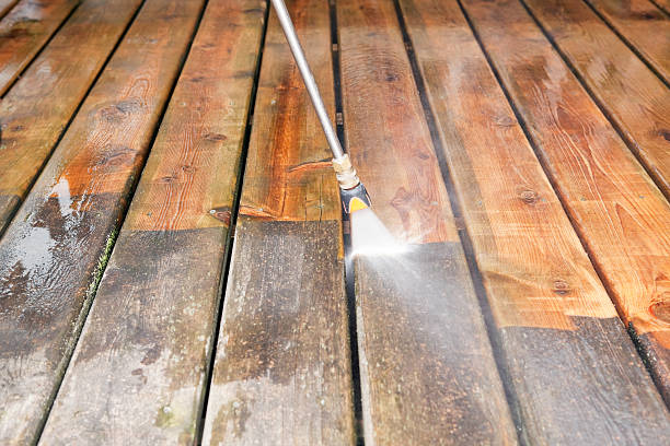 Best Commercial Building Pressure Washing  in Roseau, MN